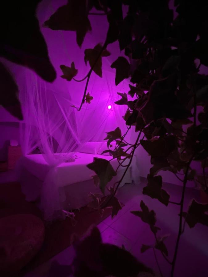 Ga #124 Home 바리 외부 사진